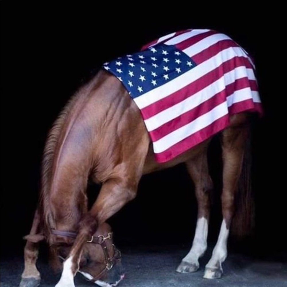 Meet your Posher, Maggie